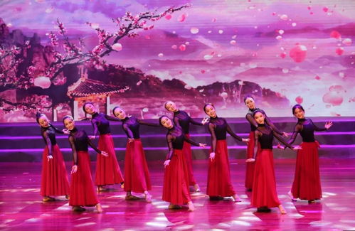 花開(kāi)正當(dāng)時(shí)，舞動(dòng)少年夢(mèng)——天臺(tái)縣少兒舞蹈成果展演圓滿落幕